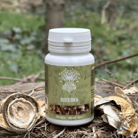 Веселка звичайна, "Лісовик", 120 таблеток по 0.4 г