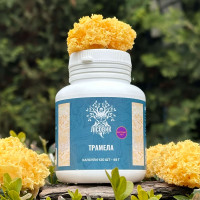 Тремела, екстракт 10:1, "Лісовик", 120 капсул по 0.4 г