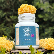 Тремела, екстракт 10:1, "Лісовик", 120 капсул по 0.4 г