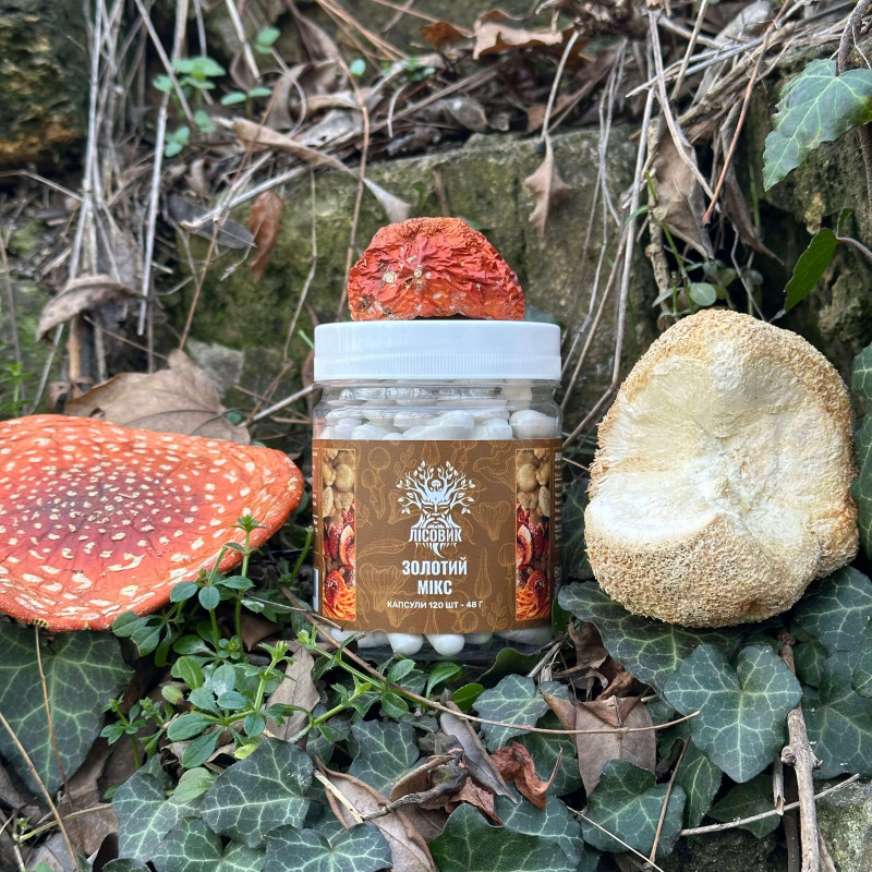 Золотий мікс, "Лісовик", 120 капсул по 0,4 г