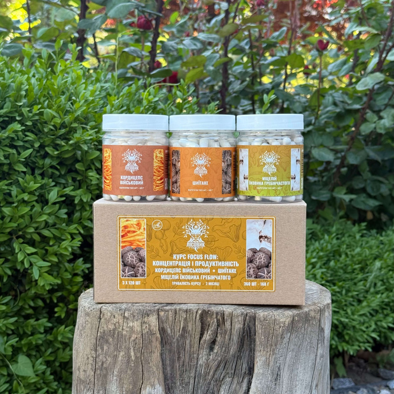 Курс Focus Flow: Концентрація та продуктивність (2 місяці), "Лісовик", 360 капсул