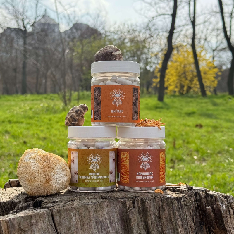 Курс Focus Flow: Концентрація та продуктивність (2 місяці), "Лісовик", 360 капсул