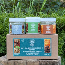 Курс MAN: Для чоловічої сили та здоров’я (1 місяць), "Лісовик", 180 капсул