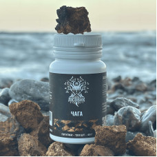 Чага березова, "Лісовик", 120 таблеток по 0.4 г