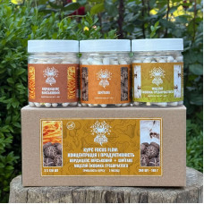 Курс Focus Flow: Концентрація та продуктивність (2 місяці), "Лісовик", 360 капсул