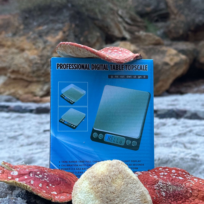 Ювелірні ваги до 500г (0,01)