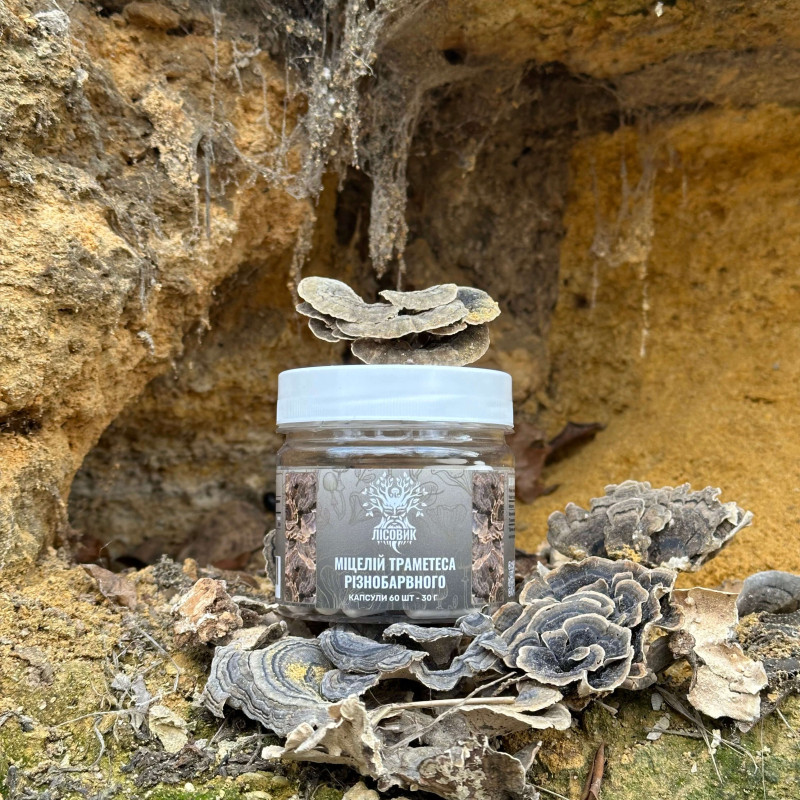 Мицелий Траметеса разноцветного, "Лесовик", 60 капсул по 0.5 г