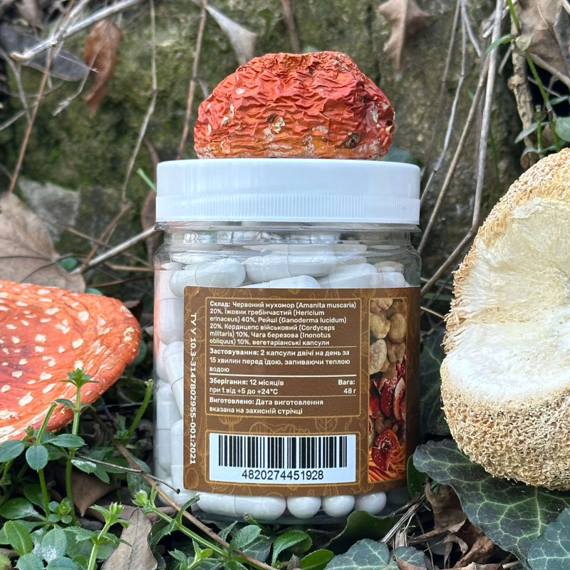 Золотий мікс, "Лісовик", 120 капсул по 0,4 г