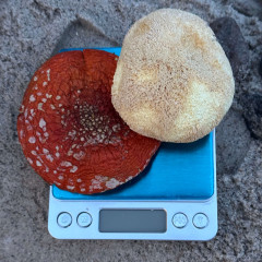 Ювелірні ваги до 500г (0,01)