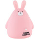 Скарбничка Kite Pink Bunny