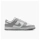 Кросівки жіночі Nike Dunk Low Next Nature Light Smoke Grey (DD1873-113)