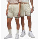 Шорти чоловічі Jordan Dri-Fit Sport (DX1487-113)