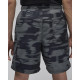 Шорти чоловічі Jordan Printed (FV7237-068)