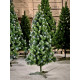 Ялинка із білим напиленням та шишками SNOWY CONE TREE