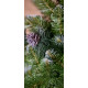 Ялинка із білим напиленням та шишками SNOWY CONE TREE