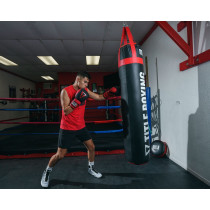 Боксерські рукавиці TITLE Boxing Guts and Glory Black/Red XL 16oz