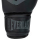 Боксерські рукавиці Everlast PROSPECT 2 BOXING GLOVE