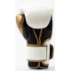 Боксерські рукавиці Everlast POWERLOCK 2R TRAINING GLOVES