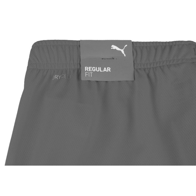 Шорти Puma teamRISE Short
