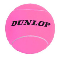 М'яч сувенірн Dunlop TAC 5i MIDI BALL