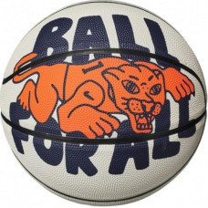 М'яч баскетбольний Nike EVERYDAY PLAYGROUND 8P GRAPHIC DEFLATED