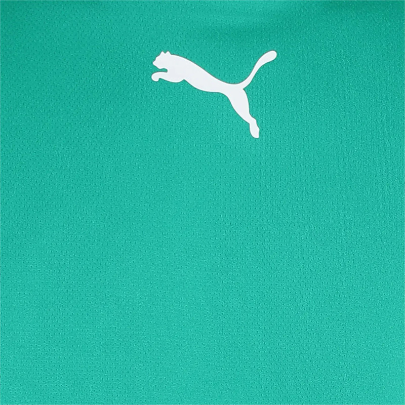 Футболка Puma teamRISE Jersey