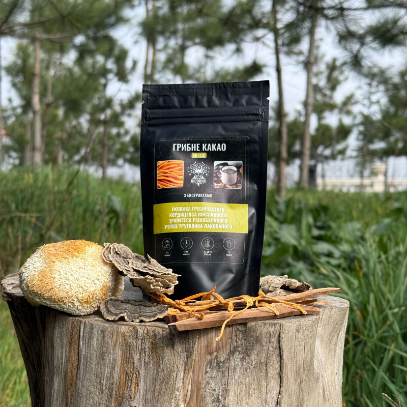 Грибное какао "Лесовик", 50 грамм
