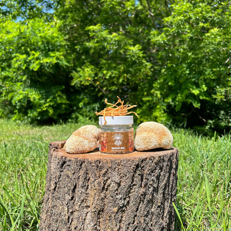 Золотий мікс, "Лісовик", 60 капсул по 0,4 г