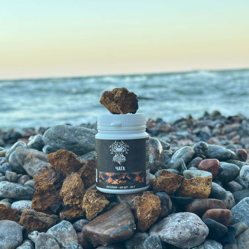 Чага березова, "Лісовик", 60 таблеток по 0.4 г
