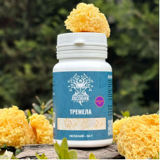 Тремела, екстракт 10:1, мелений, "Лісовик", 50 грам