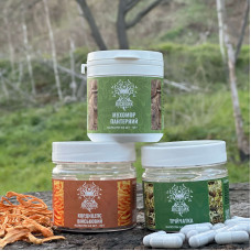 Курс Детокс: перезавантаження тіла та розуму (1 місяць), "Лісовик", 180 капсул