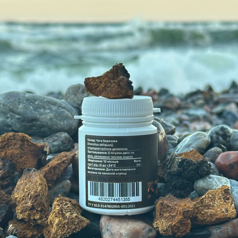 Чага березова, "Лісовик", 60 таблеток по 0.4 г