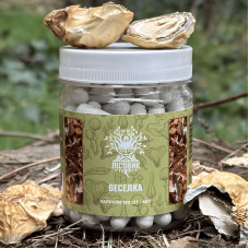 Весёлка обычная по 0.5 г, "Лесовик", 120 капсул