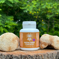 Экстракт Ежовика гребенчатого, "Лесовик", 120 капсул по 0.5 г