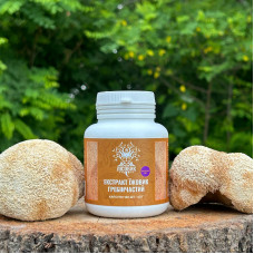 Екстракт Їжовика гребінчастого, "Лісовик", 120 капсул по 0.5 г