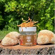 Золотий мікс, "Лісовик", 60 капсул по 0,4 г