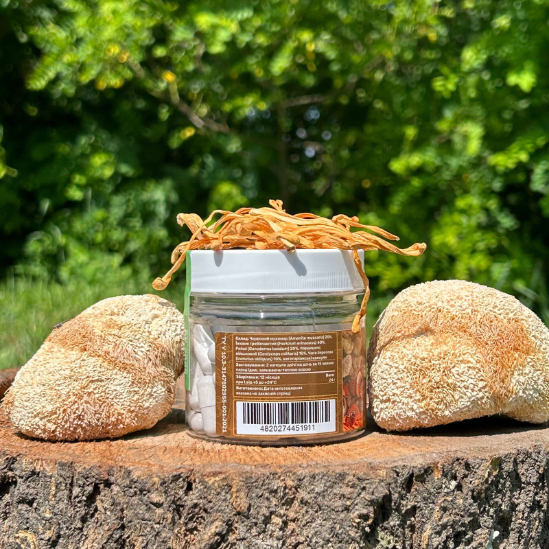 Золотий мікс, "Лісовик", 60 капсул по 0,4 г