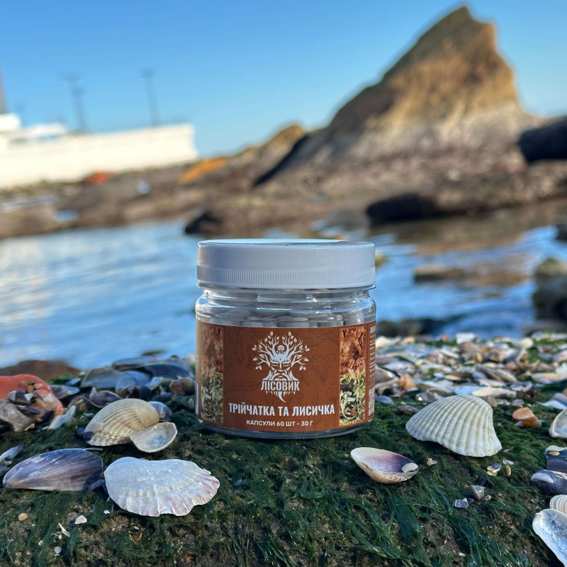 Тройчатка с лисичкой антипаразитарная по 0,5 г, "Лесовик", 60 капсул