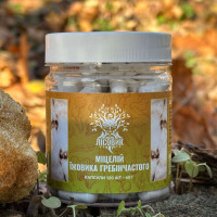 Мицелий ежовика гребенчатого, "Лесовик", 120 капсул по 0,5 г