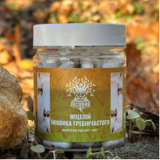 Міцелій їжовика гребінчастого, "Лісовик", 120 капсул по 0,5 г