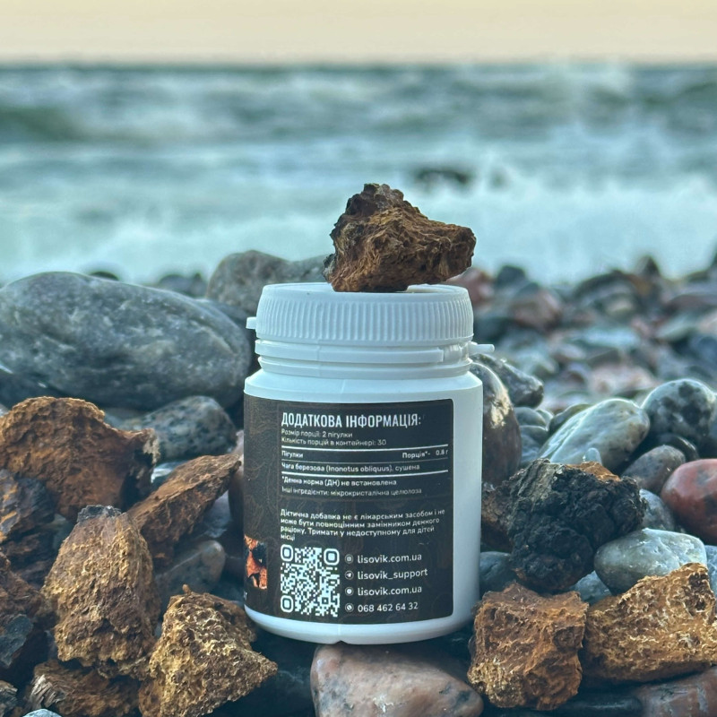 Чага березова, "Лісовик", 60 таблеток по 0.4 г