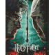 Алмазна мозаїка - Harry Potter: Гаррі та Волдеморт ©Warner Bros.