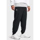 Брюки жіночі Under Armour Rival Wide Leg Pant Black (1386557-001)