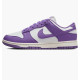Кросівки жіночі Nike Dunk Low Next Nature (DD1873-108)