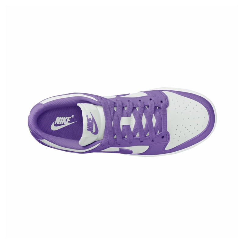 Кросівки жіночі Nike Dunk Low Next Nature (DD1873-108)