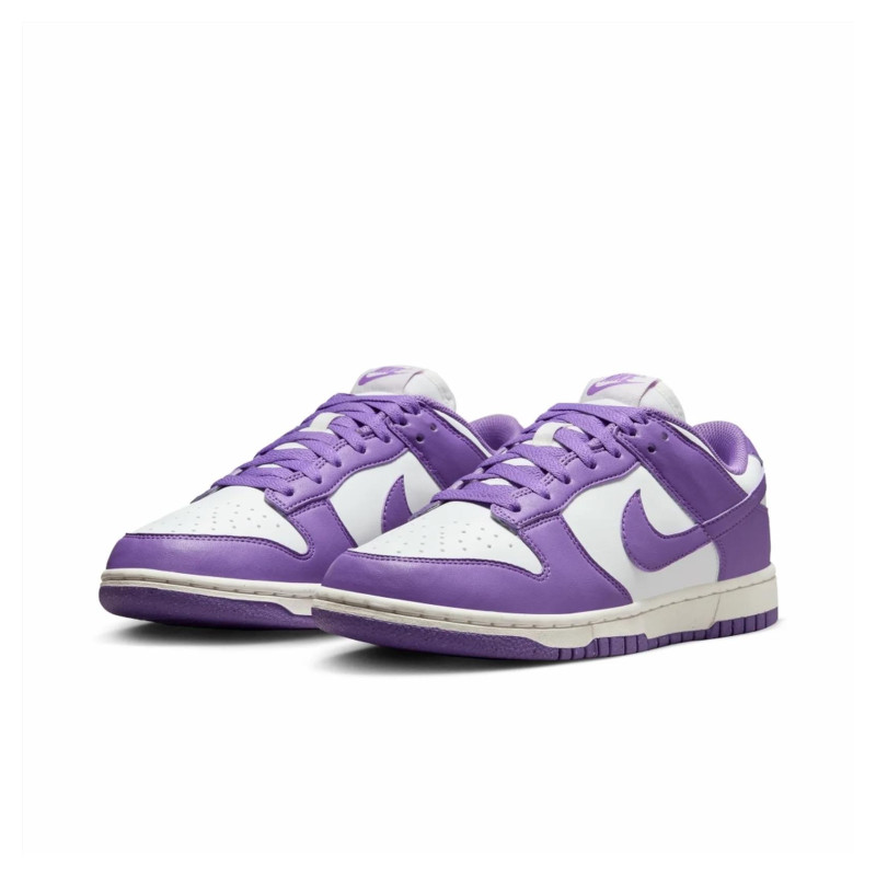 Кросівки жіночі Nike Dunk Low Next Nature (DD1873-108)