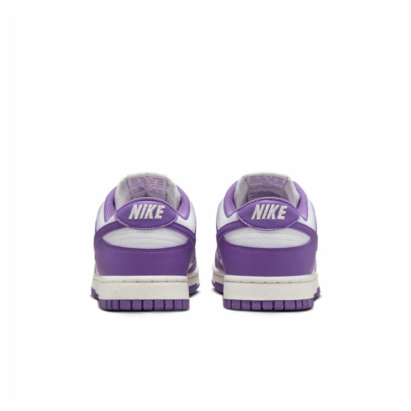 Кросівки жіночі Nike Dunk Low Next Nature (DD1873-108)