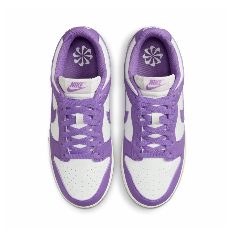 Кросівки жіночі Nike Dunk Low Next Nature (DD1873-108)