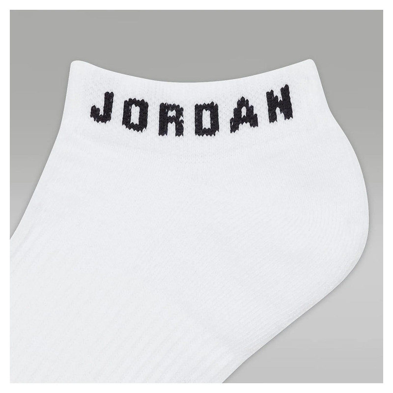 Шкарпетки Jordan Everyday No-Show Dri-Fit (DX9656-911)