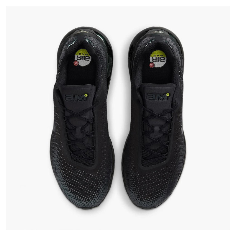 Кросівки чоловічі Nike Air Max Phoenix (FZ5307-004)